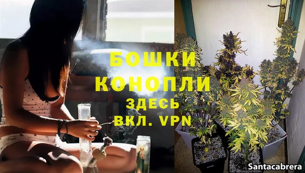 мдпв Гусь-Хрустальный