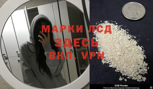 скорость Чекалин