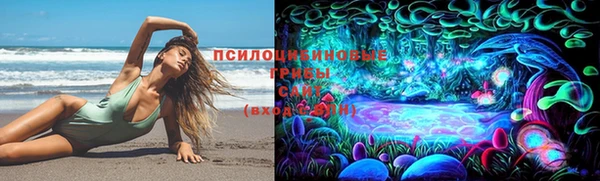 Альфа ПВП Вязники