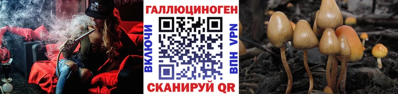 Псилоцибиновые грибы Psilocybe omg ССЫЛКА даркнет клад как найти Заозёрный